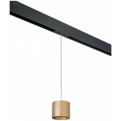 Изображение товара Подвесной светильник Lightstar Rullo PRORP3490