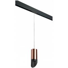 Изображение товара Подвесной светильник Lightstar Rullo PRORP43037