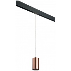 Изображение товара Подвесной светильник Lightstar Rullo PRORP430