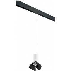 Изображение товара Подвесной светильник Lightstar Rullo PRORP436437