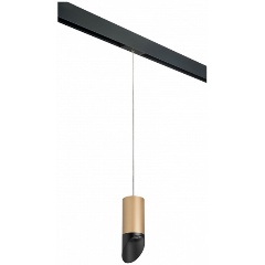 Изображение товара Подвесной светильник Lightstar Rullo PRORP44037 черный