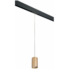 Изображение товара Подвесной светильник Lightstar Rullo PRORP440