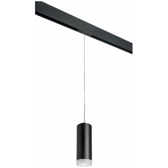 Изображение товара Подвесной светильник Lightstar Rullo PRORP48730