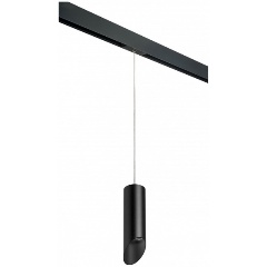 Изображение товара Подвесной светильник Lightstar Rullo PRORP48737