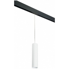 Изображение товара Подвесной светильник Lightstar Rullo PRORP496