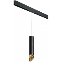 Изображение товара Подвесной светильник Lightstar Rullo PRORP497140 в индустриальном стиле