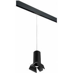 Изображение товара Подвесной светильник Lightstar Rullo PRORP6487487 индустриальный стиль 50 Вт