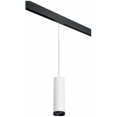 Изображение товара Подвесной светильник Lightstar Rullo для офиса, индустриальный стиль, 50 Вт