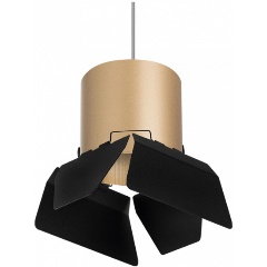 Изображение товара Подвесной светильник Lightstar Rullo RP3490487