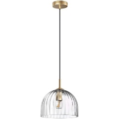 Изображение товара Подвесной светильник Lumion Suspentioni Ellie 6551/1