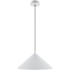 Изображение товара Подвесной светильник Maytoni Basic MOD167PL-01W стиль модерн белый металл 40 Вт