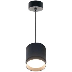 Изображение товара Подвесной светильник Maytoni Technical Polar P088PL-GX53-B