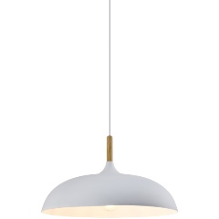 Изображение товара Подвесной светильник Moderli V1330-P Hygo 1*E27 60W современный дизайн