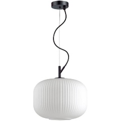 Изображение товара Подвесной светильник Odeon Light Roofi 4754/1.