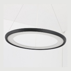 Изображение товара Подвесной светильник Zortes ORIA ZRS.33122.40