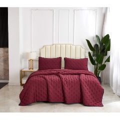 Изображение товара Покрывало с наволочками SOFI DE MARKO Броуди №1 160x220 микрофибра