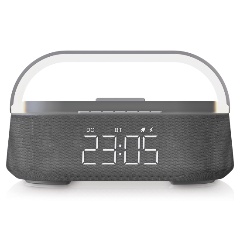 Изображение товара Портативная акустика BBK BTA2010, серый