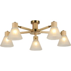 Изображение товара Потолочная люстра Arte Lamp Meleph A4096PL-5BR