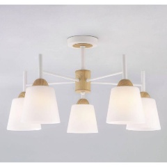 Изображение товара Потолочная люстра Eurosvet 70085/5 белый для гостиной