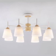 Изображение товара Потолочная люстра Eurosvet 70085/8 белый для гостиной современный дизайн