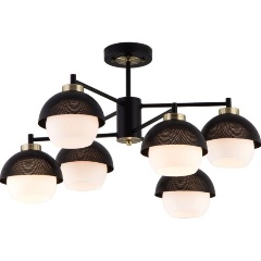 Изображение товара Люстра на штанге Eurosvet 70106/6 черный.
