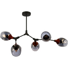 Изображение товара Люстра на штанге Evoluce Ciotolla SLE113402-05