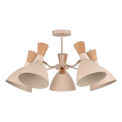 Изображение товара Потолочная люстра Evoluce Vista SLE1256-502-05