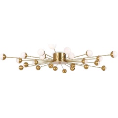 Изображение товара Потолочная люстра Freya Celebrity FR5242CL-24BS