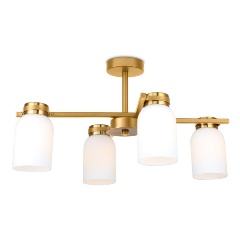 Изображение товара Потолочная люстра Freya Kamelia FR5446PL-04BS1