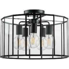 Изображение товара Потолочная люстра Lightstar Genni 798257