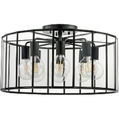 Изображение товара Потолочная люстра Lightstar Genni 798287