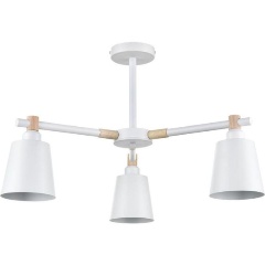 Изображение товара Люстра на штанге Lumion Moderni Rosalina 8097/3C