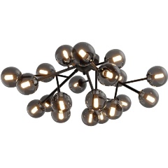 Изображение товара Потолочная люстра Maytoni Dallas MOD545CL-20B