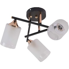 Изображение товара Потолочная люстра Rivoli Fiona 3163-303 Б0059259