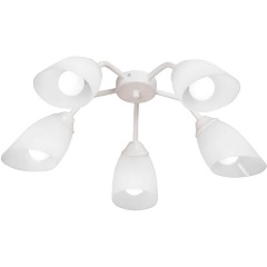 Изображение товара Потолочная люстра Vitaluce V3195/5PL.