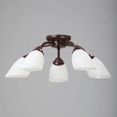 Изображение товара Потолочная люстра Vitaluce V3252/5PL.