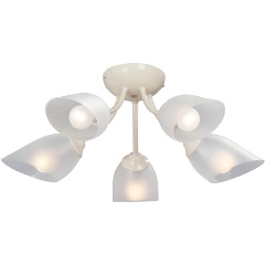 Изображение товара Потолочная люстра Vitaluce V3405/5PL