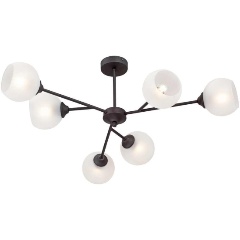 Изображение товара Потолочная люстра Vitaluce V3791-1/6PL