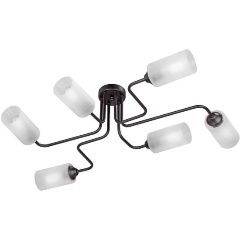 Изображение товара Потолочная люстра Vitaluce V4310-1/6PL.