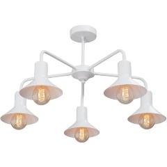 Изображение товара Потолочная люстра Vitaluce V4805-0/5PL.