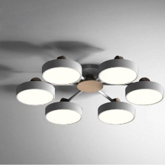 Изображение товара Потолочная светодиодная люстра Imperium Loft Move 178253-26