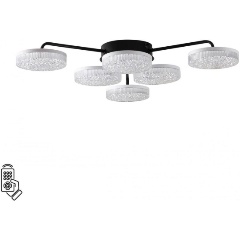 Изображение товара Потолочная светодиодная люстра Lumion Ledio Didana 8236/6CL