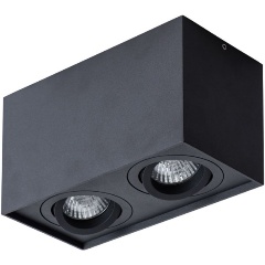 Изображение товара Потолочный светильник Arte Lamp Factor A5544PL-2BK