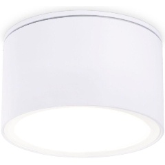 Изображение товара Потолочный светильник Ambrella light Techno Spot IP Protect TN6522