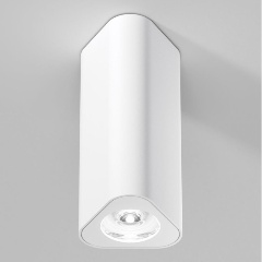 Изображение товара Потолочный светильник Elektrostandard 25110/LED a067062