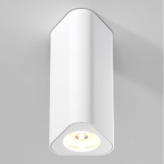 Изображение товара Потолочный светильник Elektrostandard 25110/LED a067063