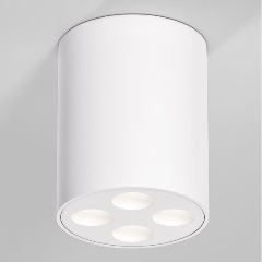 Изображение товара Потолочный светильник Elektrostandard 25111/LED a067483