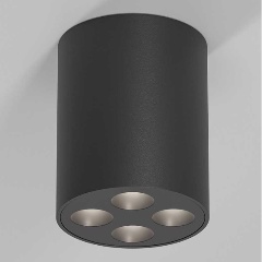 Изображение товара Потолочный светильник Elektrostandard 25111/LED a067485