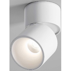 Изображение товара Потолочный светильник Elektrostandard 25112/LED a067487