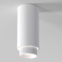 Изображение товара Потолочный светильник Elektrostandard Nubis 25012/01 GU10 белый a064789